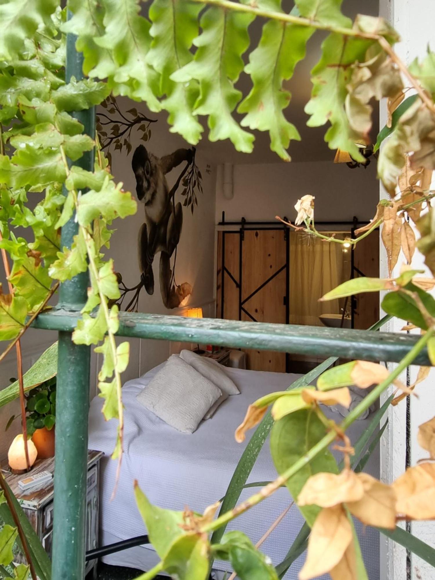 サルタ Yungaホステル 部屋 写真